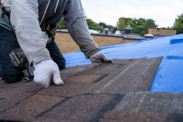 Best Flat Roof Repair Services  in Marion, KY